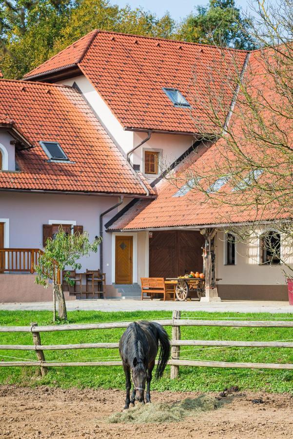 Apartment Zynga - Stud Farm Sentvid Pri Sticni Exterior foto